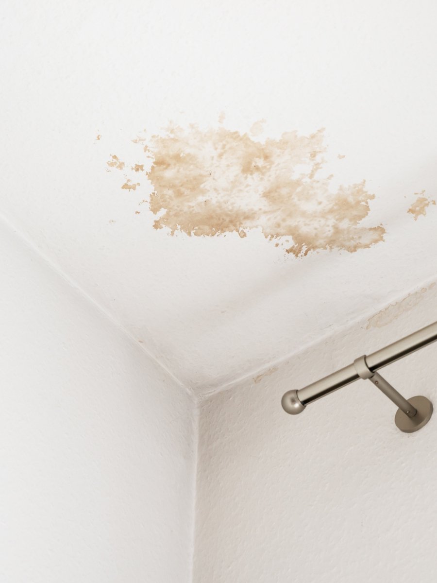 réparation dégats des eaux