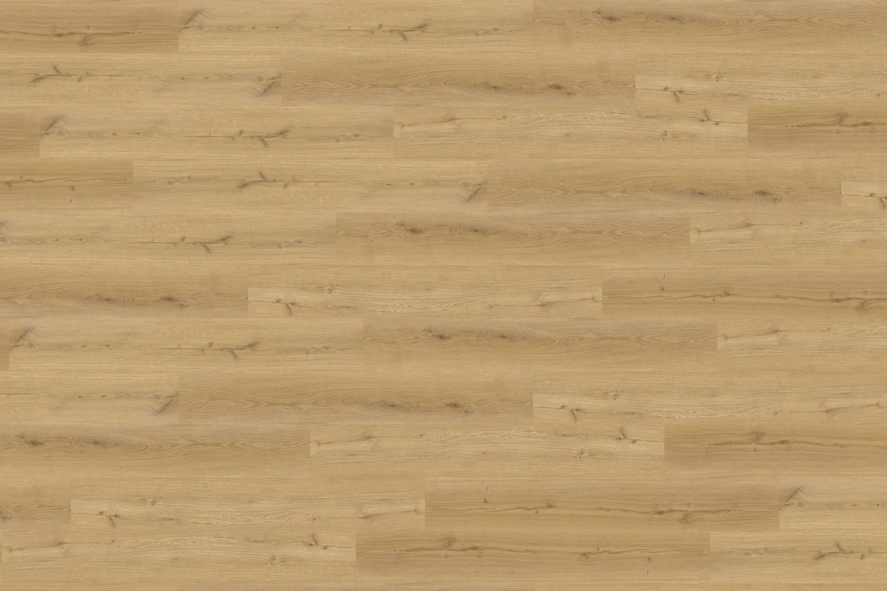 Sol PVC / LVT